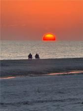 MLS #223095312 image #0