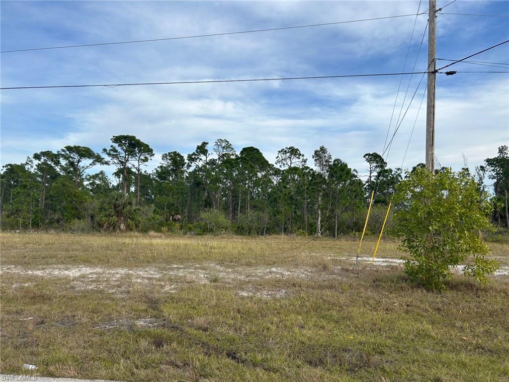 MLS #224000556 image #3