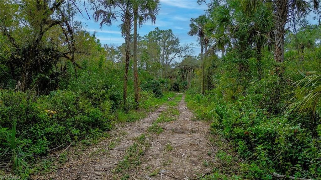 MLS #224002458 image #2