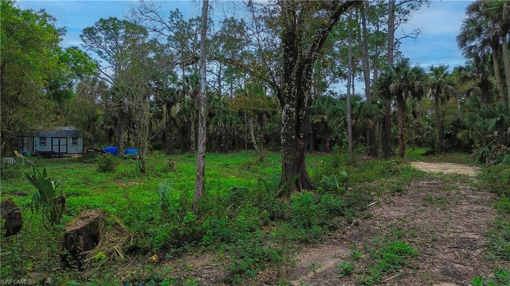 MLS #224002458 image #3