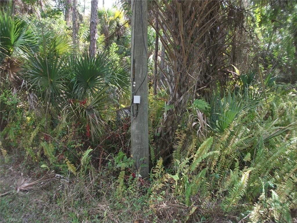 MLS #224010914 image #4