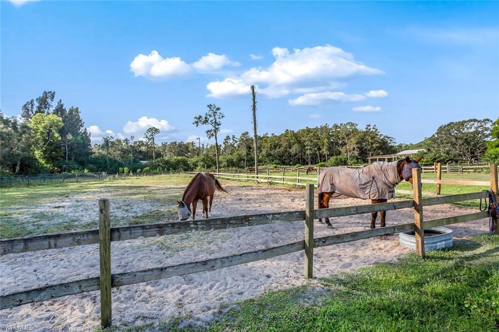 MLS #224016781 image #12