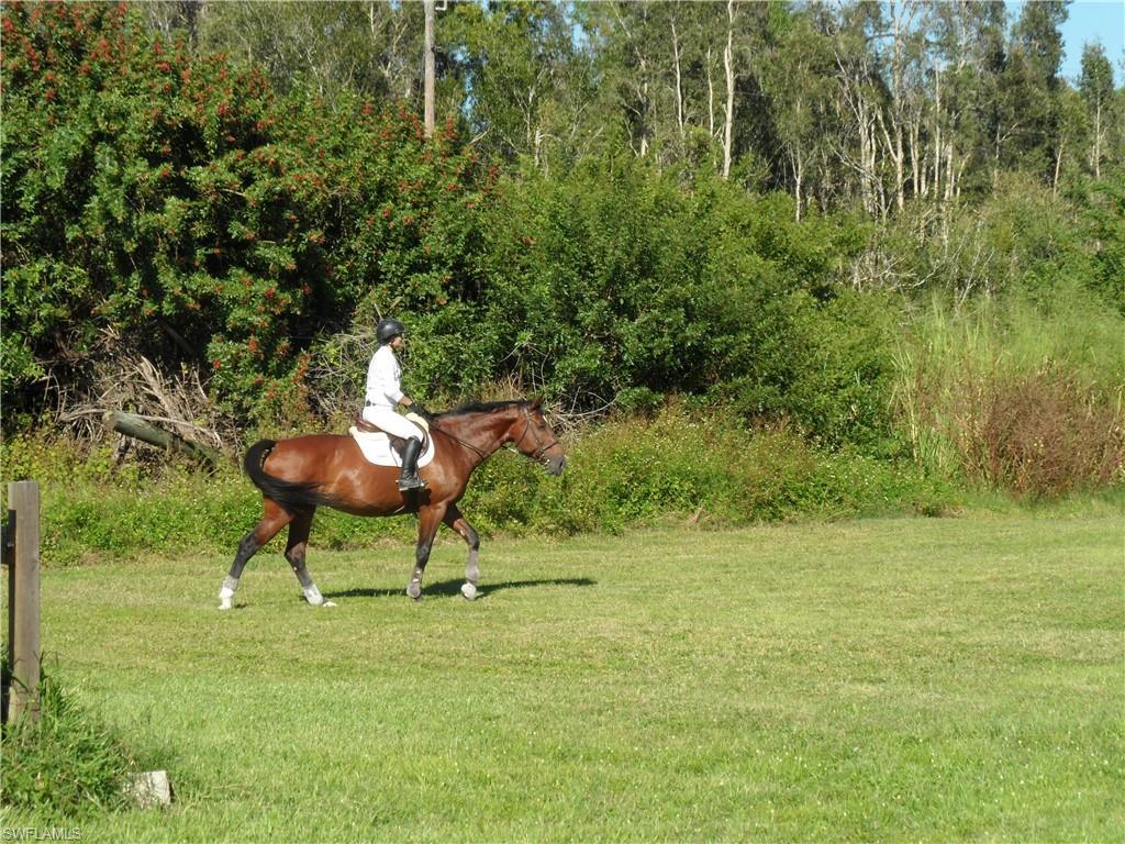 MLS #224016781 image #4