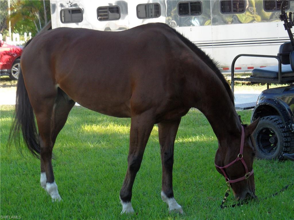 MLS #224016781 image #5