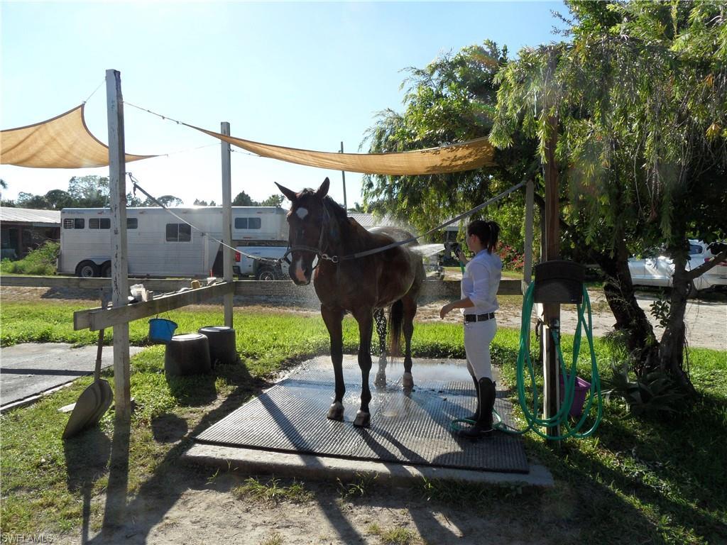 MLS #224016781 image #7