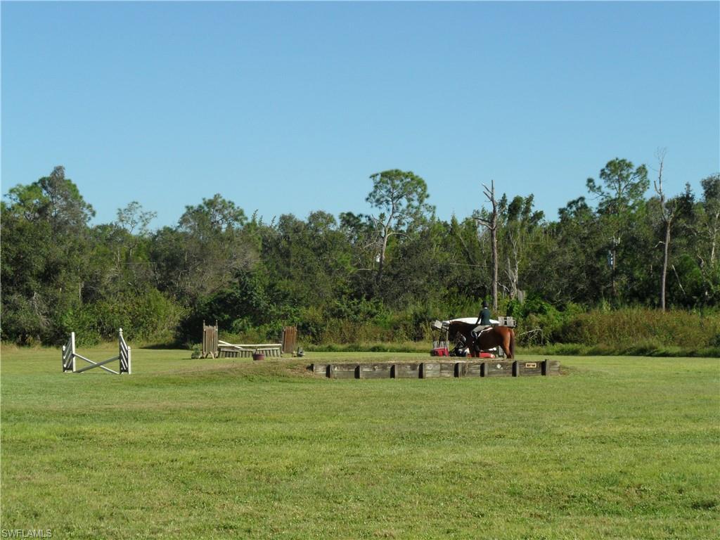 MLS #224016781 image #8