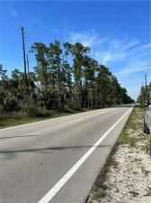 MLS #224024071 image #2