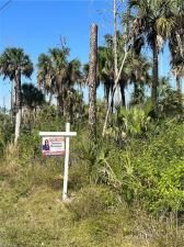 MLS #224024071 image #4