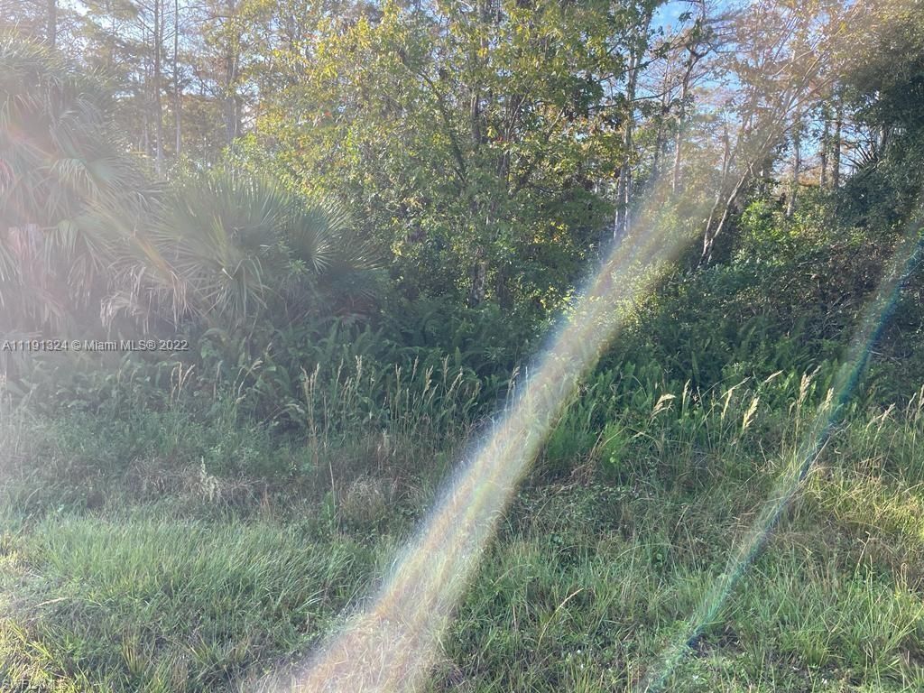 MLS #224027374 image #1