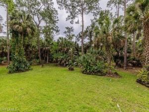 MLS #224029449 image #11