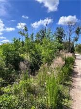 MLS #224038994 image #0