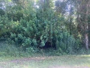 MLS #224053320 img 0