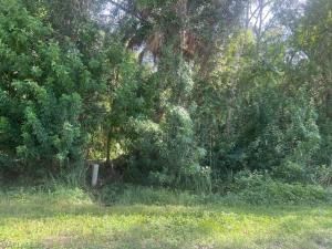 MLS #224053337 image #0