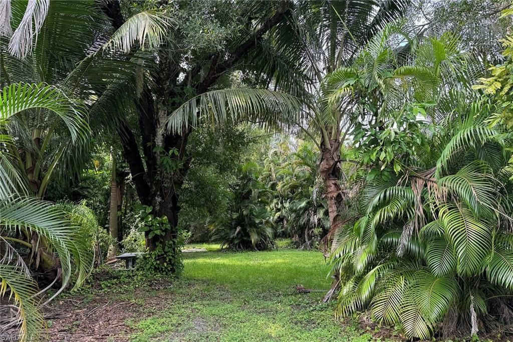 MLS #224057912 image #0