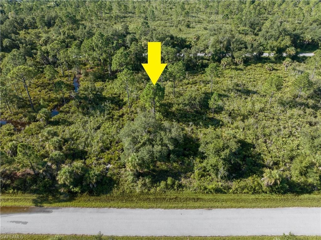 MLS #224071981 image #0