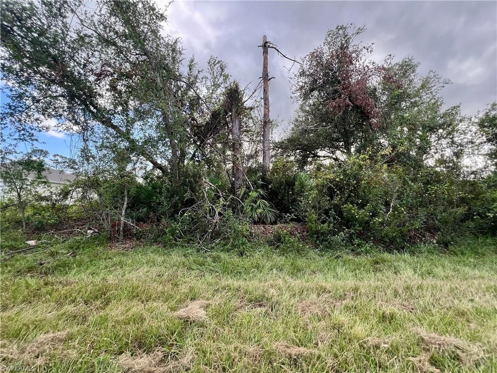 MLS #224081868 image #0