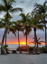 MLS #224097671 image #0