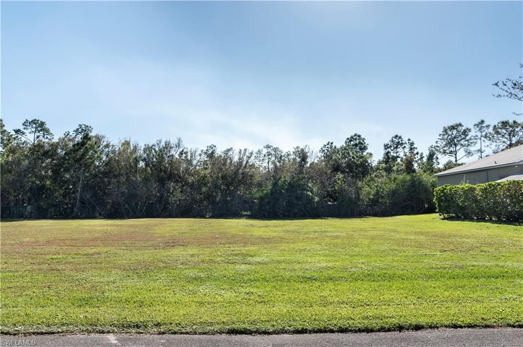 MLS #224098104 image #0