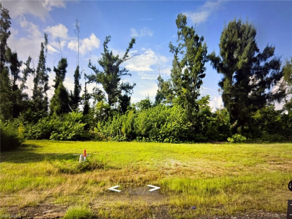 MLS #225003577 image #0