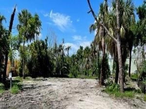 MLS #225005017 image #0