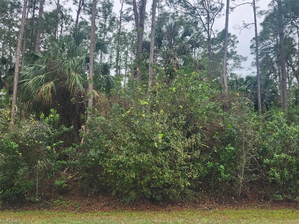 MLS #225007209 image #0