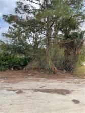 MLS #225008125 image #0