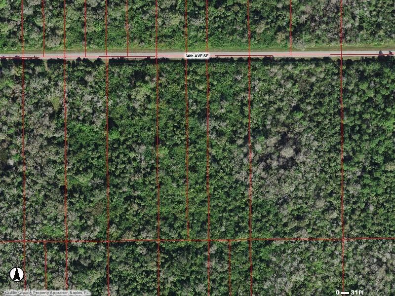 MLS #225008929 image #0