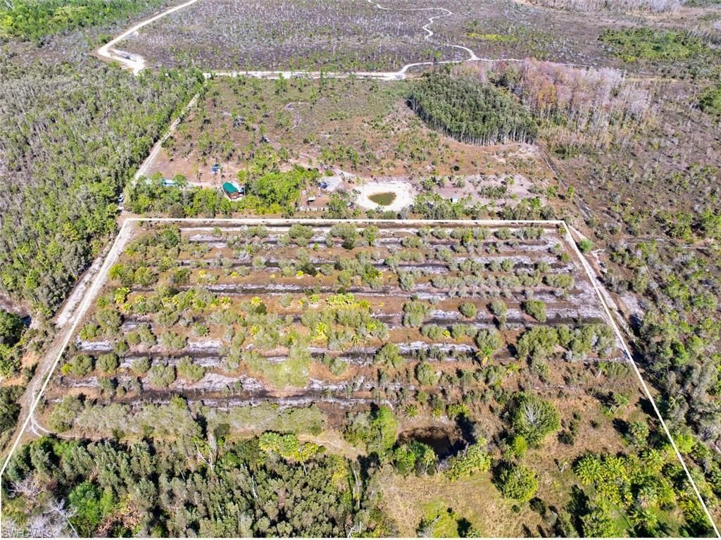 MLS #225009354 image #0