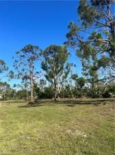 MLS #225016159 image #0