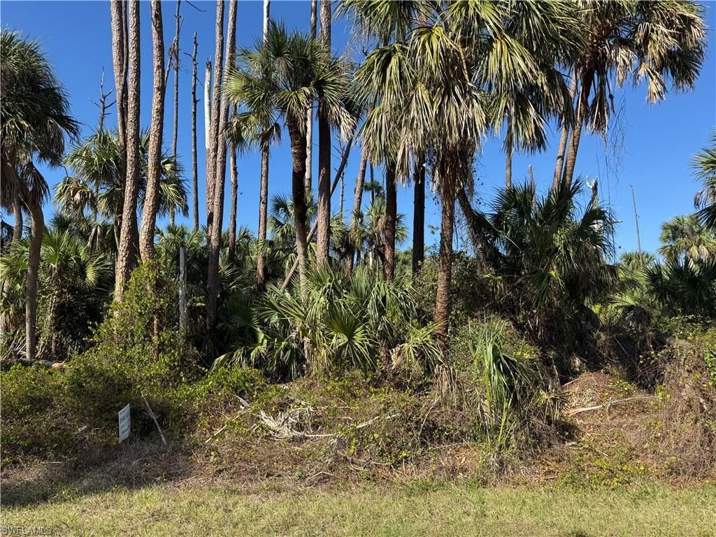 MLS #225019166 image #0