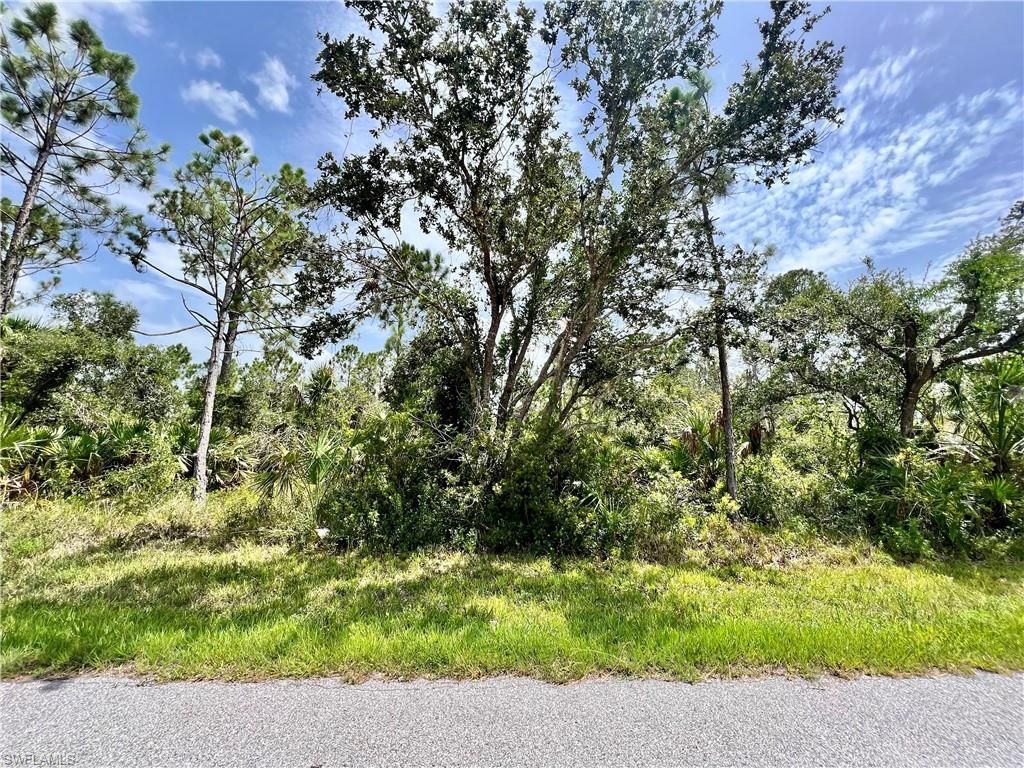 MLS #225021822 image #0