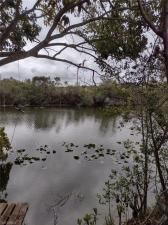 MLS #225022328 image #0