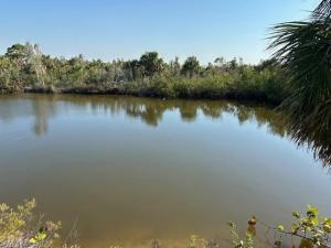 MLS #225022792 image #0