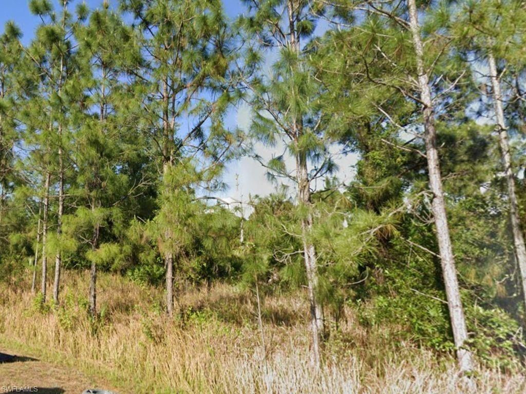 MLS #225026746 image #0