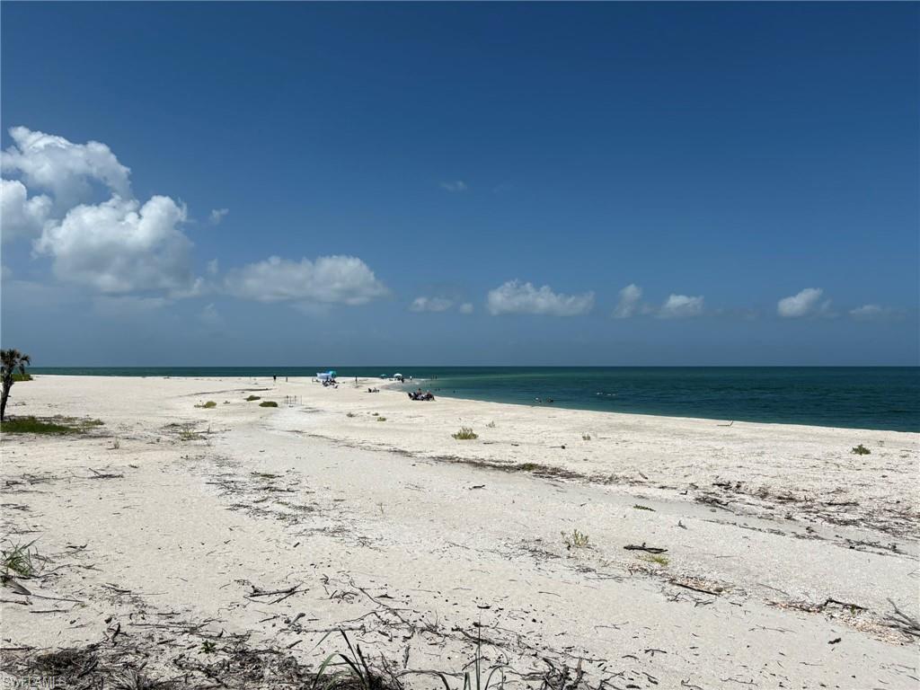 MLS #225029699 image #0