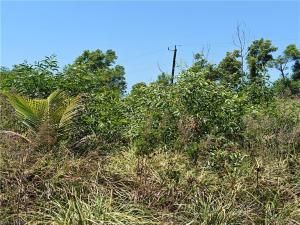 MLS #225035739 img 0
