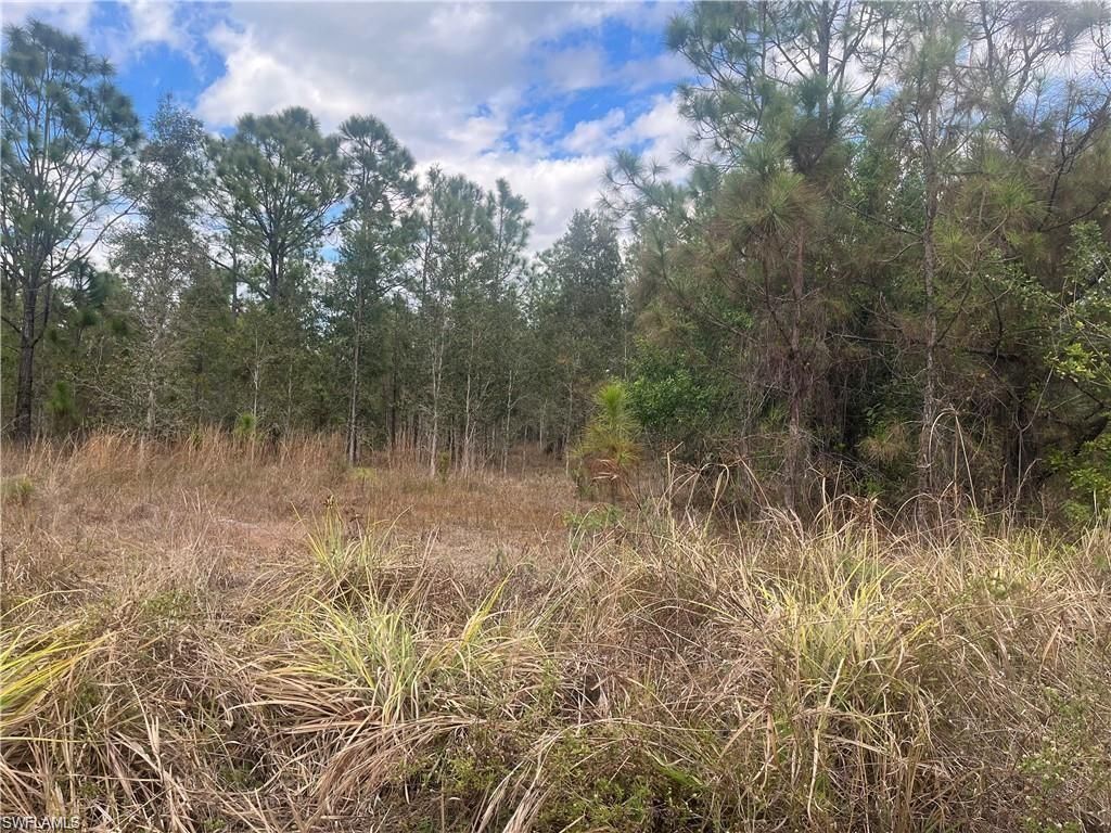 MLS #225036086 image #0