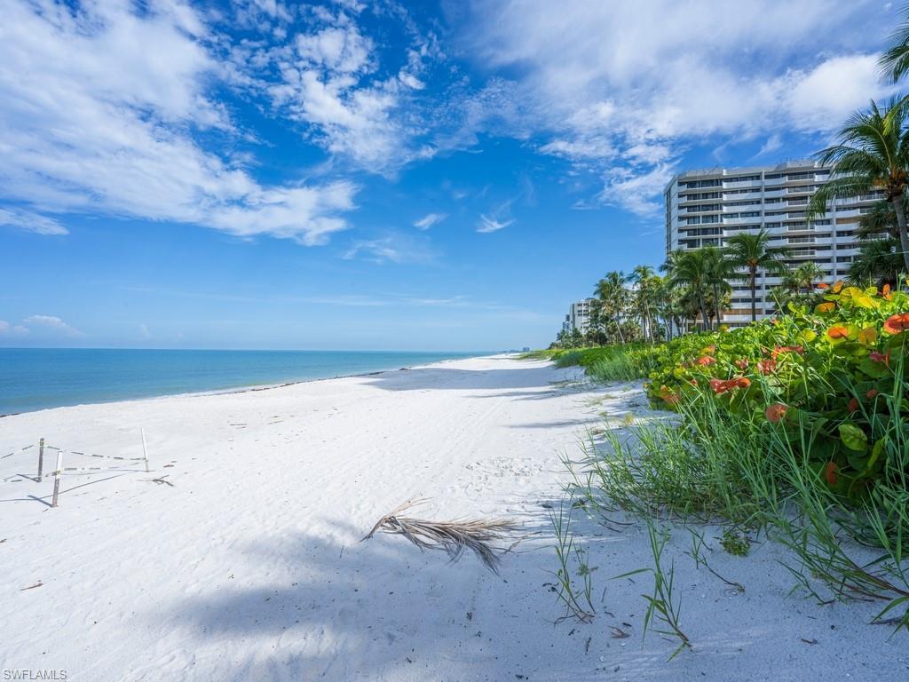 MLS #225039221 image #0