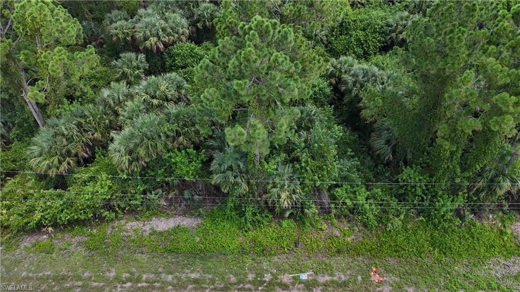 MLS #225040734 image #0