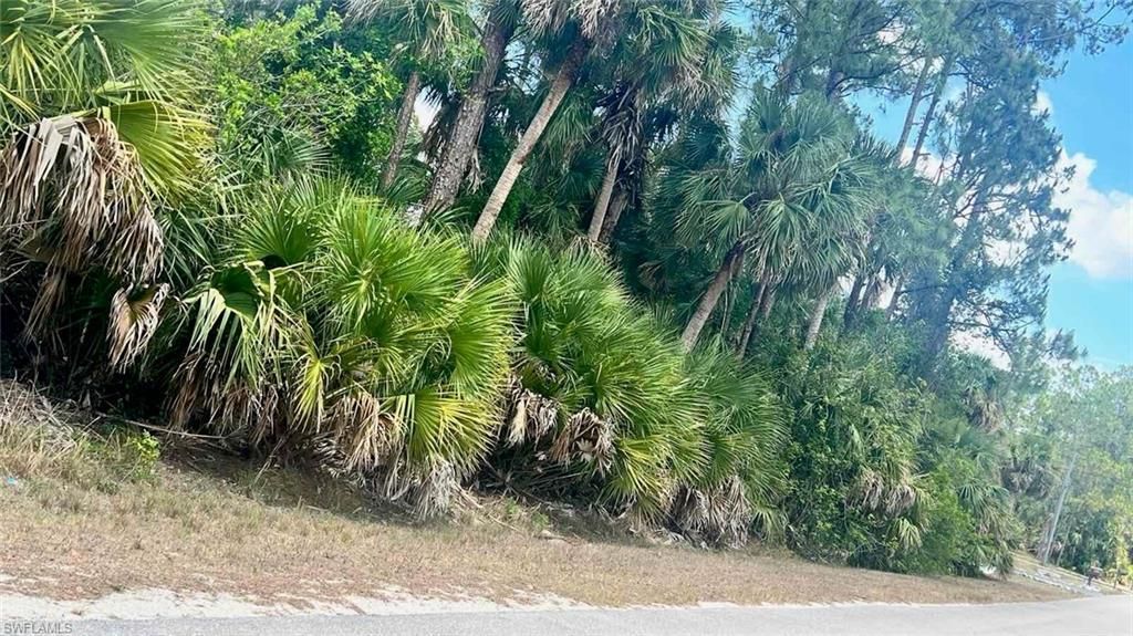 MLS #225042812 image #0