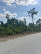 MLS #225045754 image #0