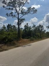 MLS #225046259 image #0