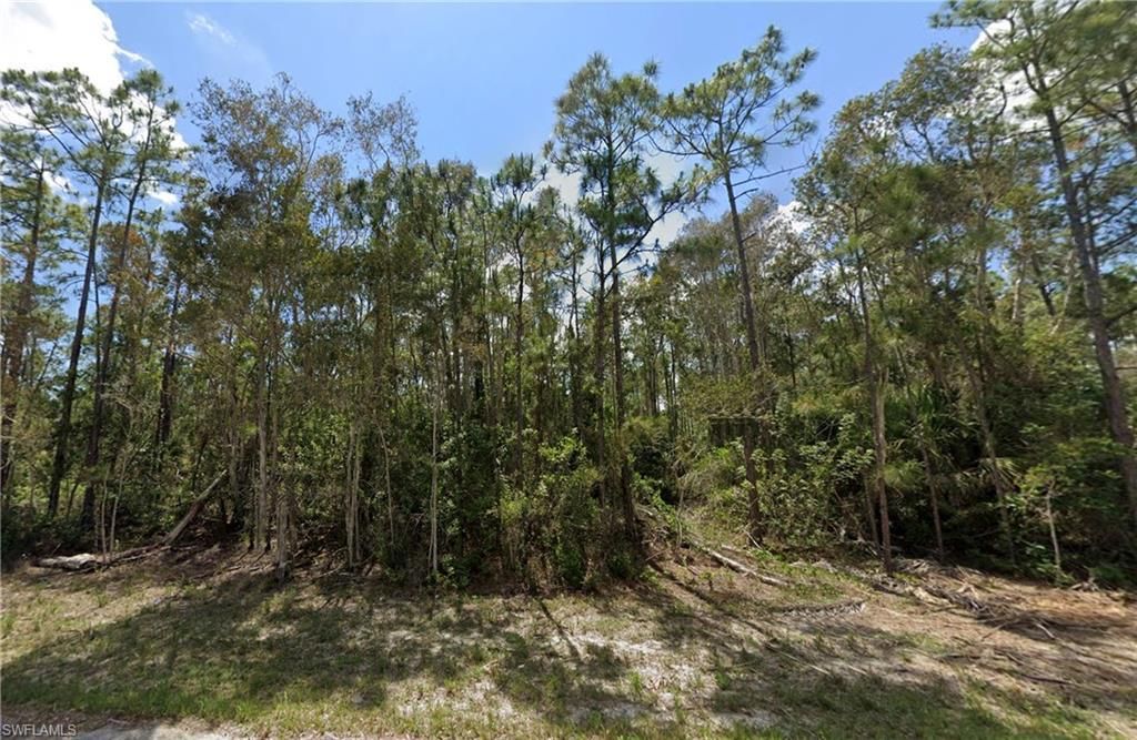 MLS #225048132 image #0