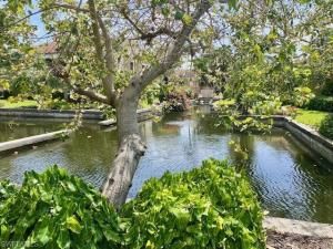 MLS #225048460 image #0