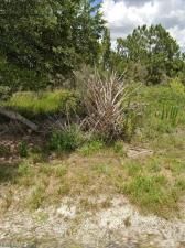 MLS #225049990 image #0