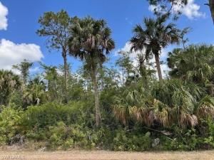 MLS #225050445 image #0