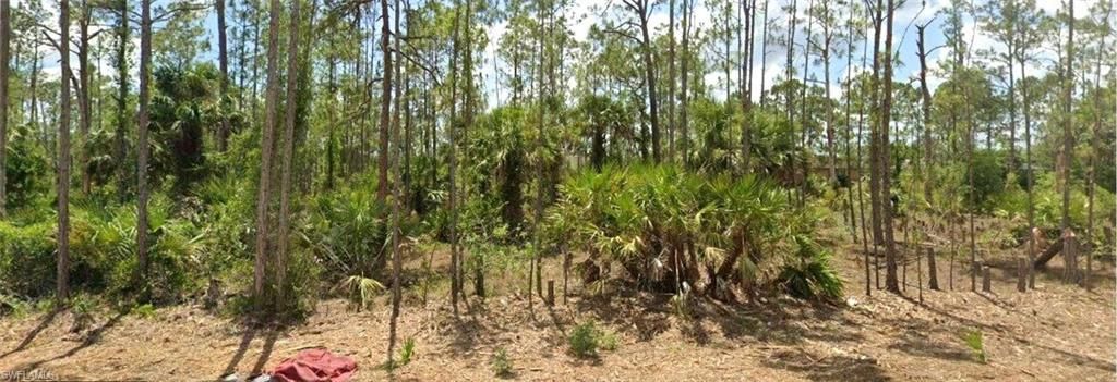 MLS #225050487 image #0