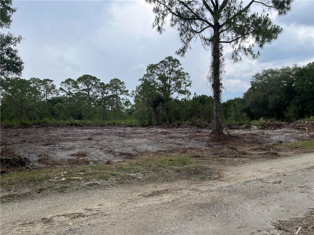 MLS #225052106 image #0