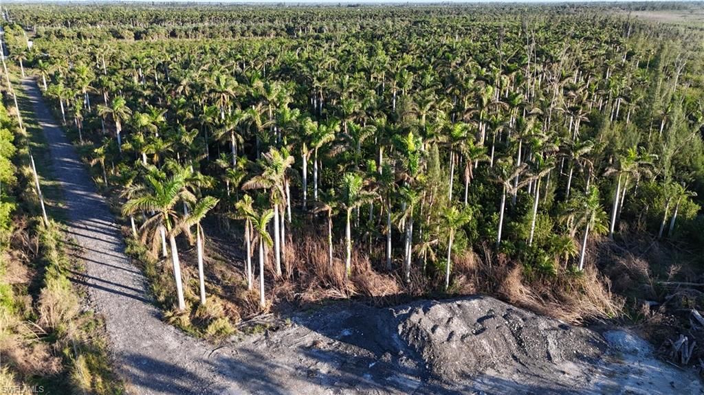 MLS #225053548 image #0