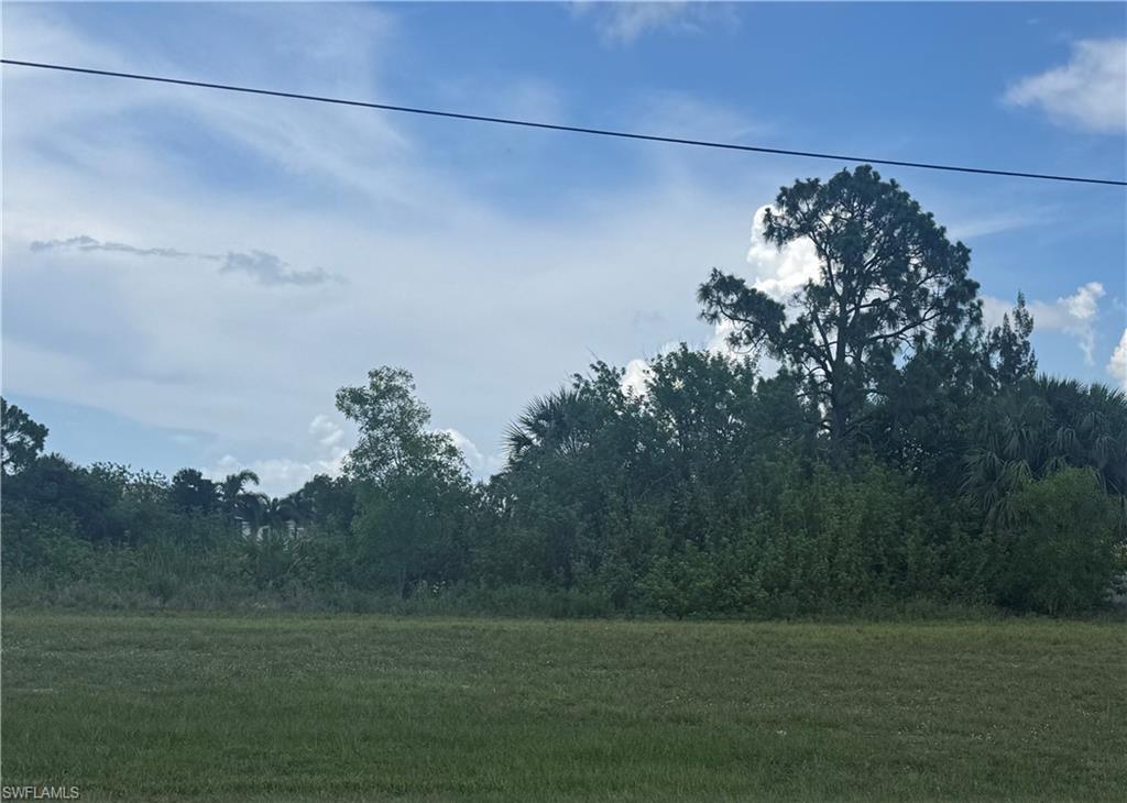 MLS #225054385 image #0